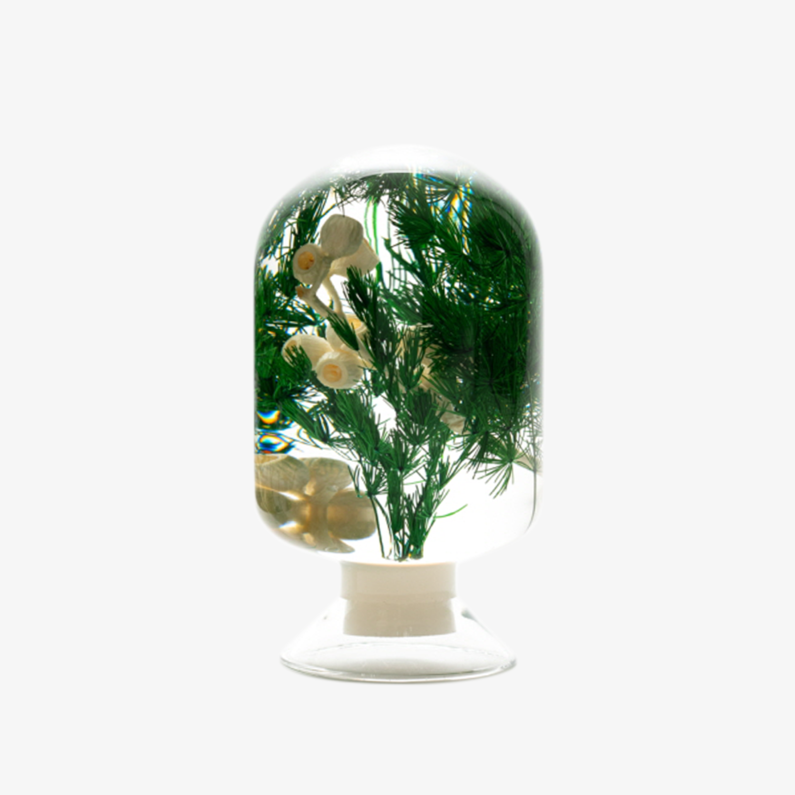 챕터원,[THE GIFT IDEA, 10%] 하바리움 - 소나무숲